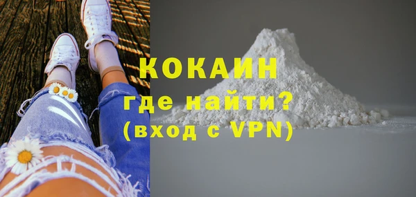 дживик Богородск