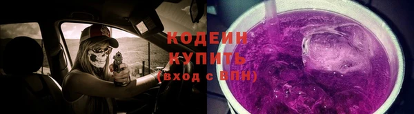 spice Богородицк
