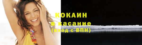 амф Богданович