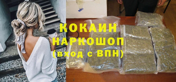 дживик Богородск
