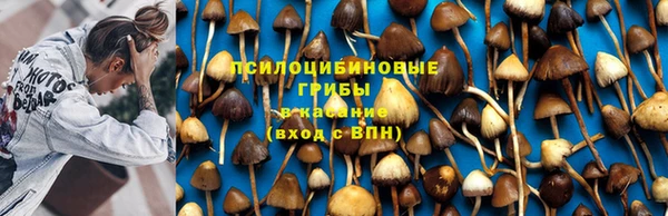 мдма Беломорск