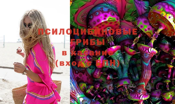 амф Богданович