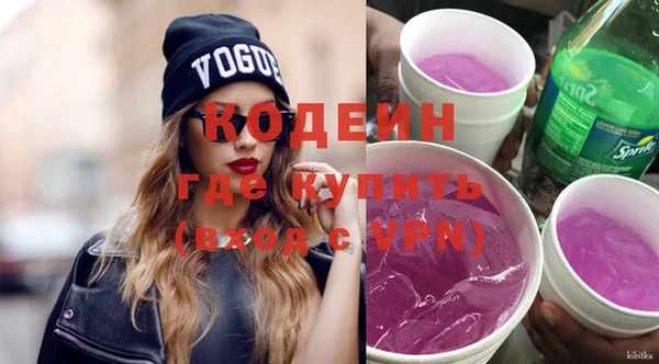 spice Богородицк