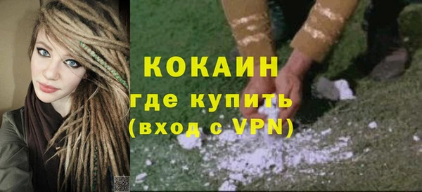 spice Богородицк
