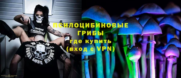 дживик Богородск