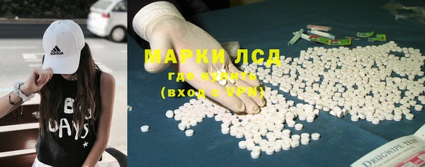 spice Богородицк